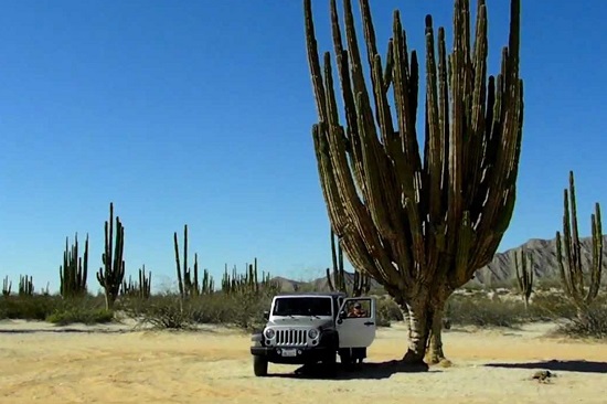 valle de los gigantes en mexicali